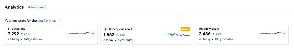 Wix Studio Analytics Report.jpg
