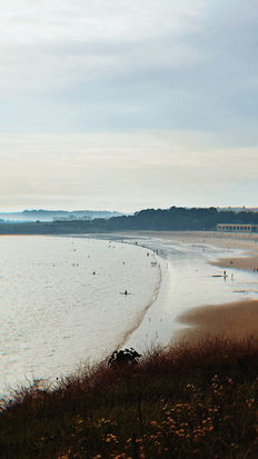 Overhead view of a curved sandy beach and calm sea.