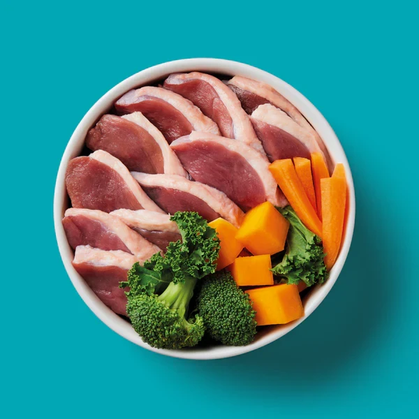 Bowl of raw meat, carrots, broccoli, and butternut squash against turquoise background.