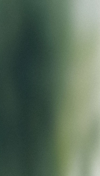 Blurred green background