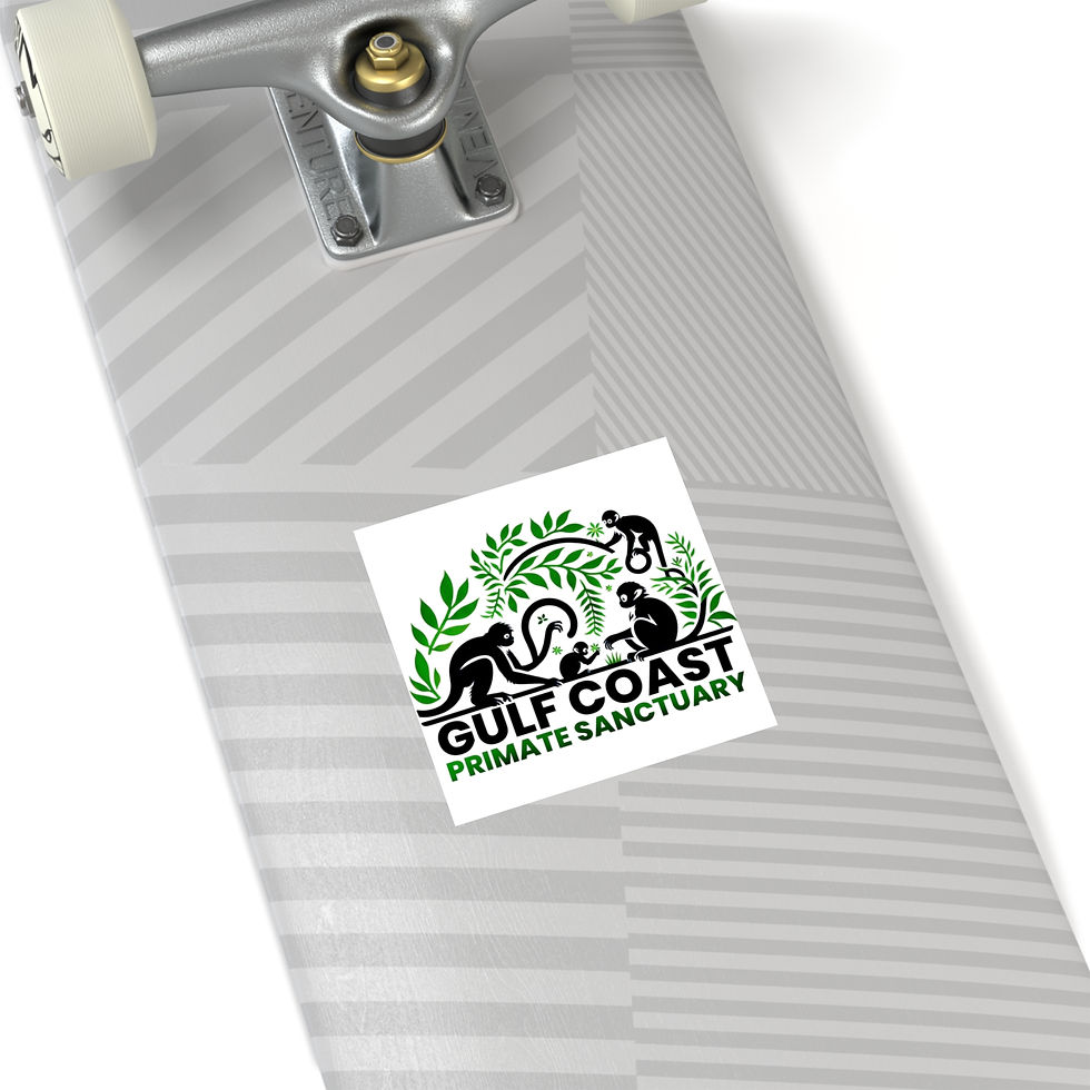 Thumbnail: Square Stickers of Gulf Coast Primate Sanctuary Logo Indoor/Outdoor