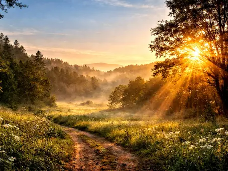 REBUILDING IN THE LIGHT: THE BODY UNDER SEASONAL LOAD