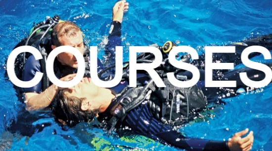 Padi Courses Scuba Total Cancun Cancun Scuba Center