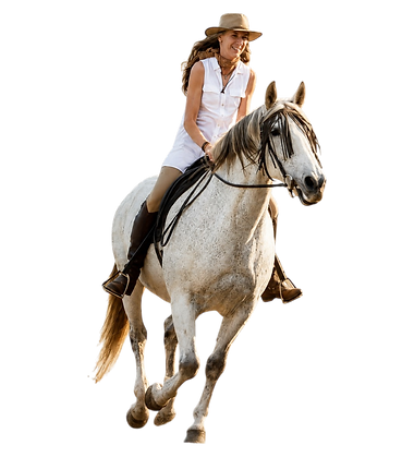 transparent-Photoroom (45).png