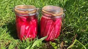 LA FERME D'ELLE - NORMANDIE - AGROFORESTERIE - AGRICULTURE - BIOLOGIQUE - FERME - FRUITS -