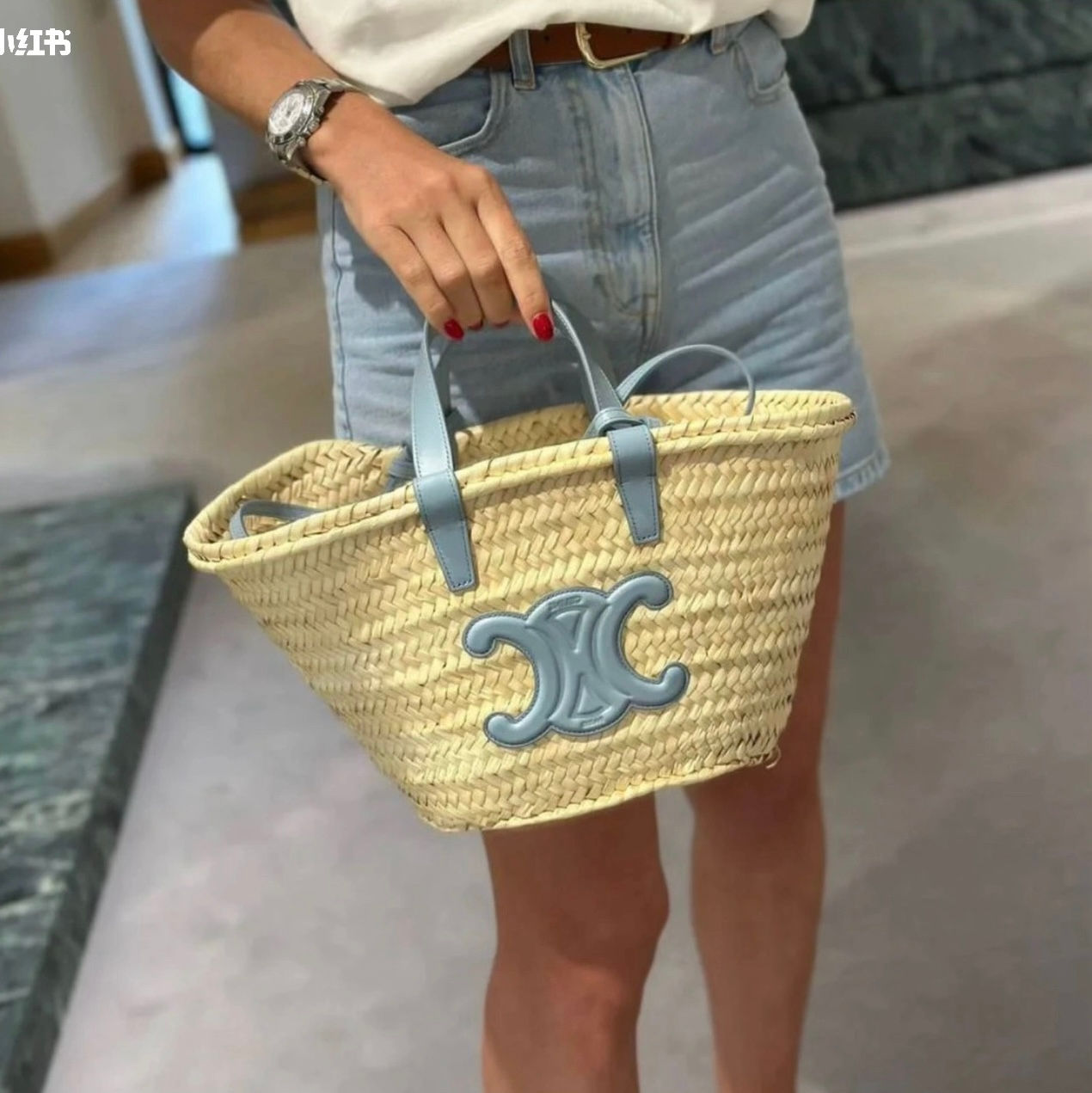 셀*느 틴 클래식 파니애