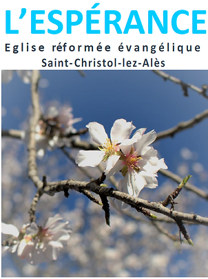 Capture d’écran 2022-03-18 164903.png