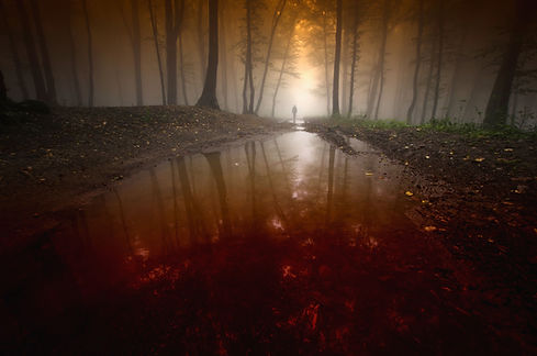 spooky man reflecting in water in surreal dark forest_edited.jpg