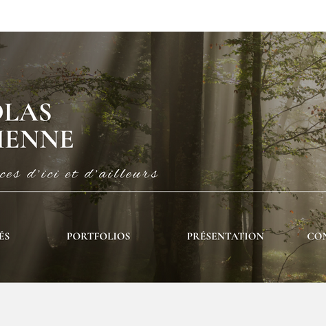 Création d'un site internet - Nicolas Léchenne