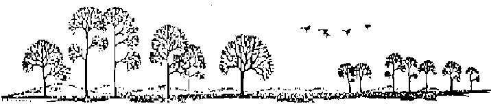allee-t.gif