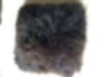 crossbred coloured cushion