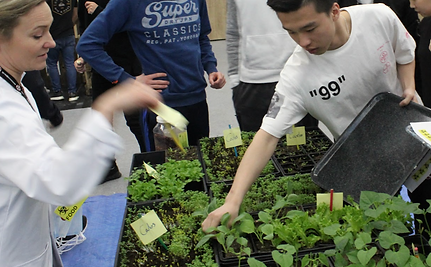 Participants in a sustainability simulation using plants to demonstrate SDG 15 Life on Land and SDG 2 Zero Hunger