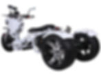 White Maddog Gas Trike 50cc