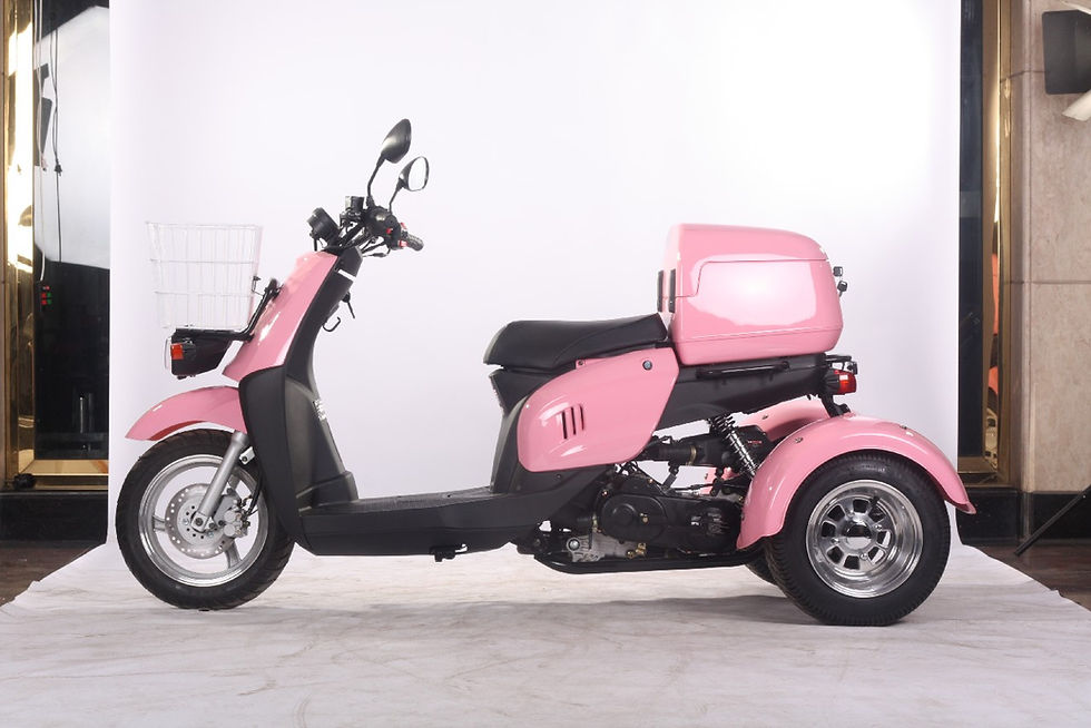 PINK MINI CRUZZER TRIKE 50CC
