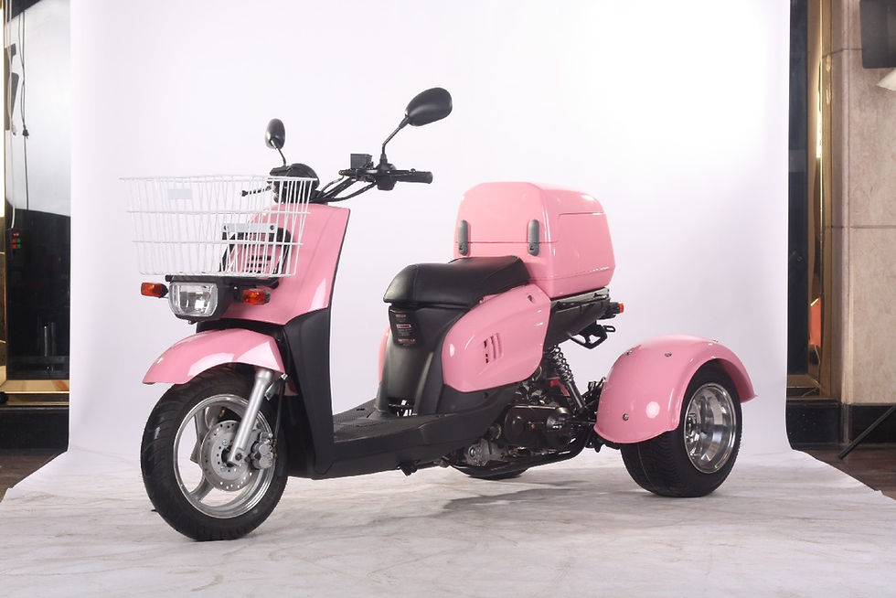 PINK MINI CRUZZER TRIKE 50CC