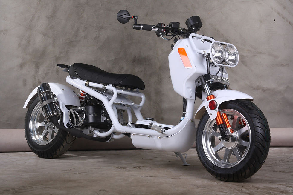White Maddog 50cc