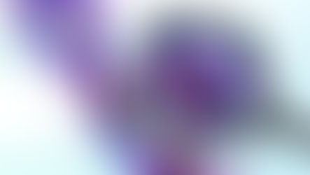 La Trampa del Top 1: Por qué tu éxito en SEO puede volverte invisible para la IA