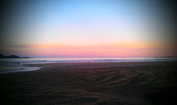 OCEAN VIEW - DUNEDIN - South Island