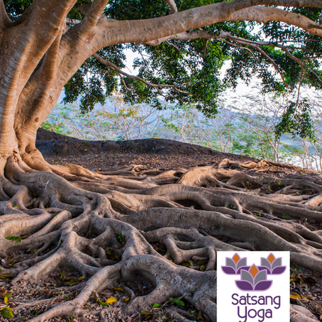 Root Down to Rise Up: The Spiritual Strength in Embracing Difference