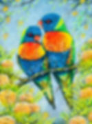 rainbow lorikeet