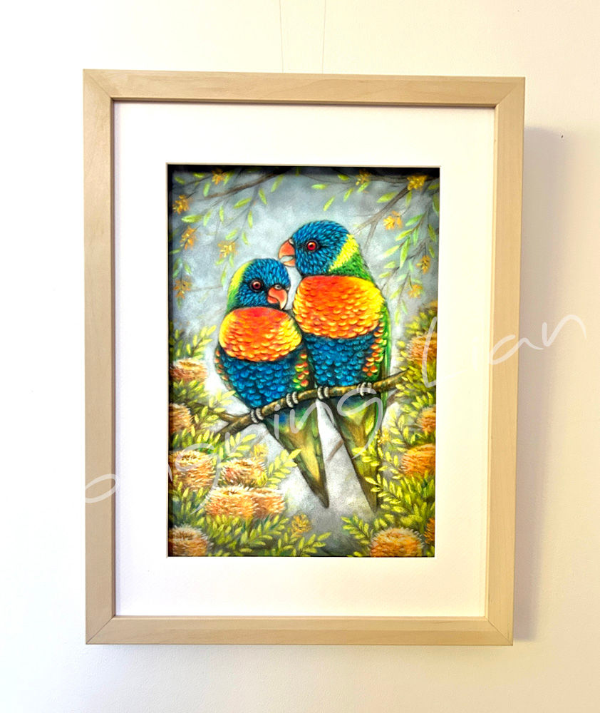rainbow lorikeet