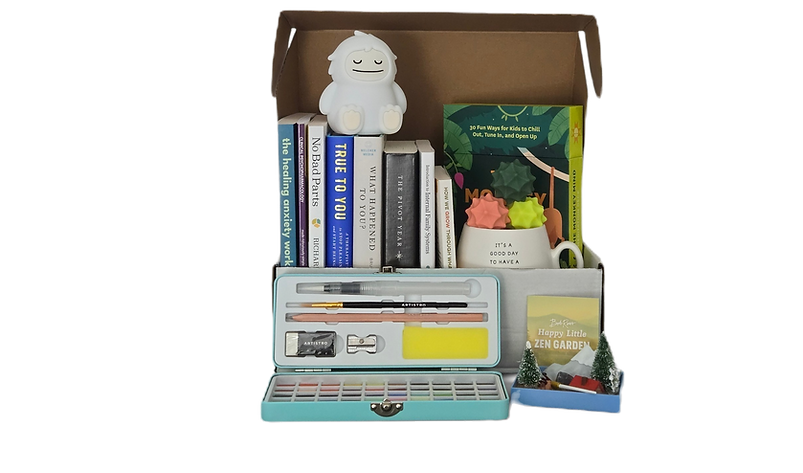 Image of an example subscription box containing art supplies, many books for mental health professionals, and simple fidgets