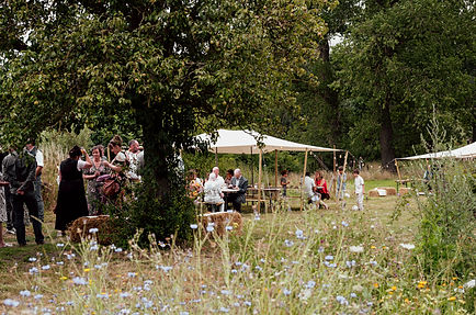 Sfeer-1666 (1)_edited.jpg