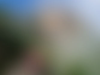 Meine erste Reise nach Venezuela