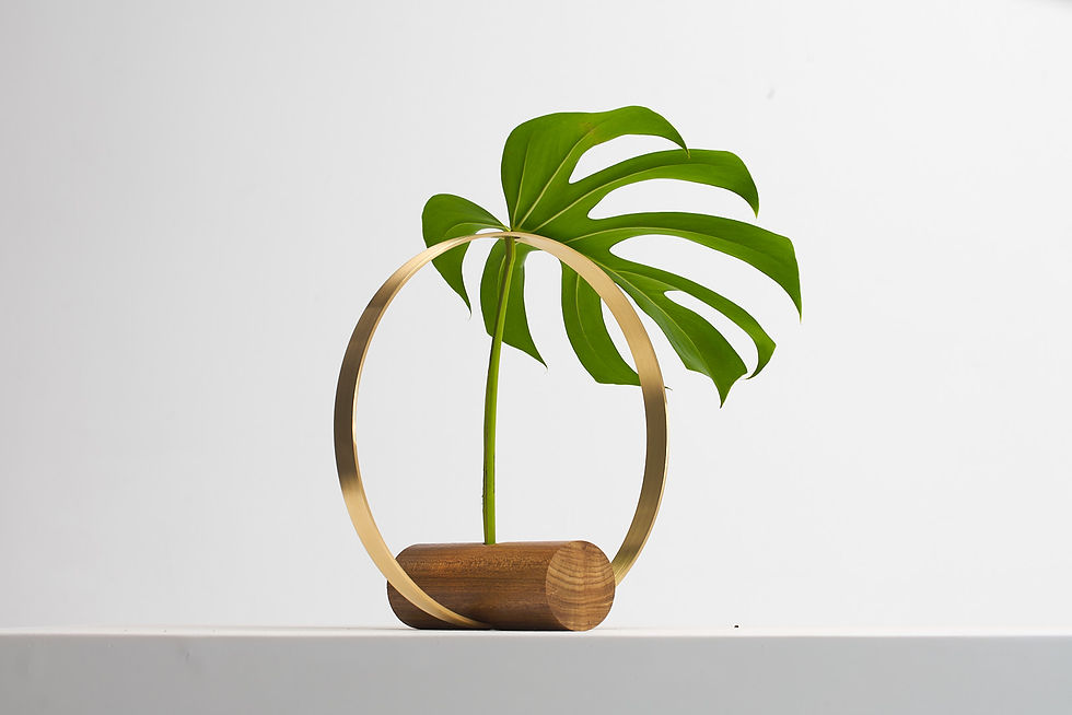 Miniatura: Vaso Arco