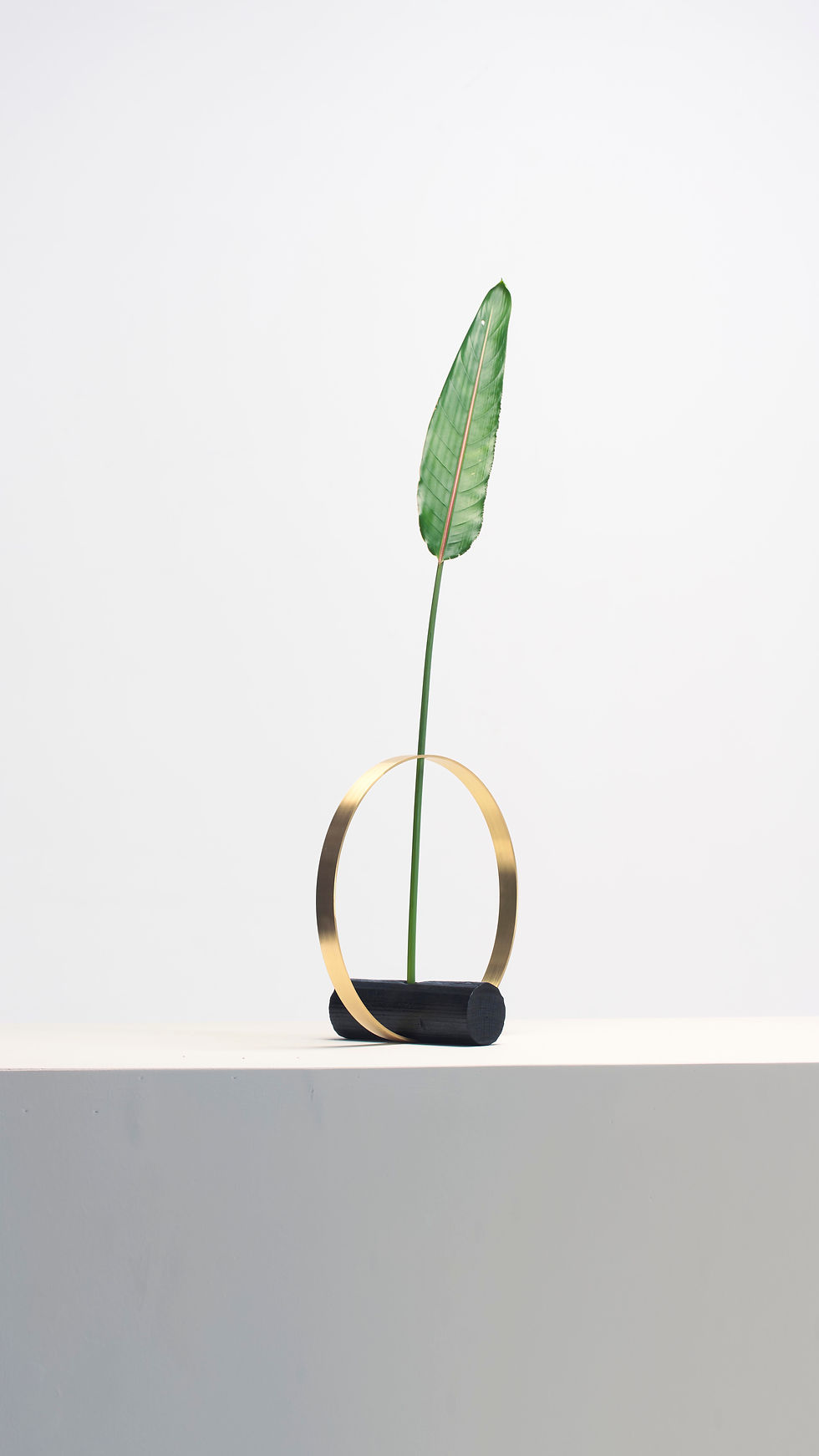 Miniatura: Vaso Arco