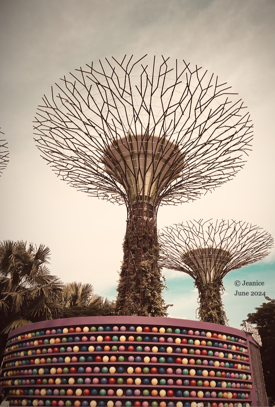 Supertree grove at garden by the bay. Inside out 2 exhibition 2024.