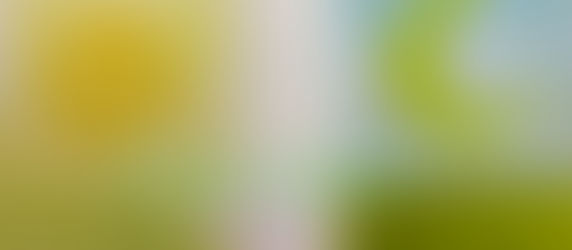 Happy Labour Day to one and all.