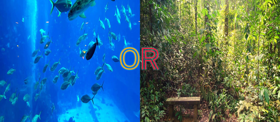 Healing properties of the blue and green spaces! (Are you team Blue or team Green?)