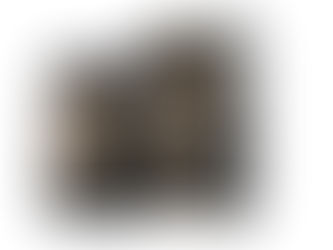 5/5 ⭐ | The Killing of a Shadow by J.F. Hilley