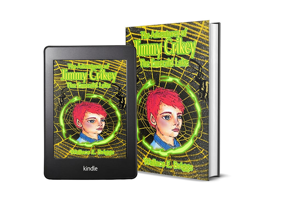 5/5 ⭐ | The Adventures of Jimmy Crikey: The Emerald Lake by Wallace E. Briggs