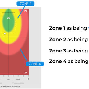 Understanding the HRV Scan: A Window to Your Well-being