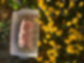 IMG_6896.jpeg
