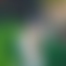 The Baron's Tale: Painting, poetry, and clay pigeon with St Andrews’ Renaissance man