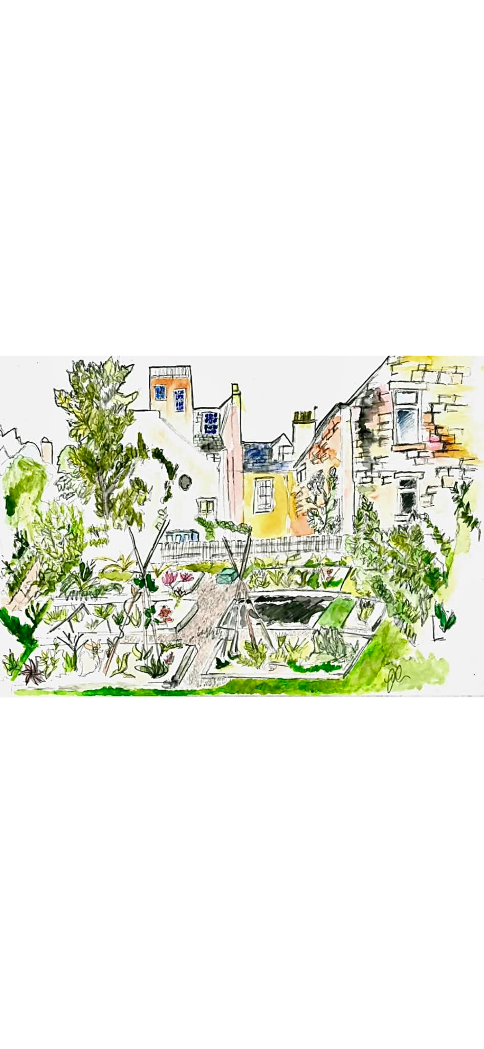 St Andrews’ Not-So-Secret Gardens: What Edible Campus Can Offer Students