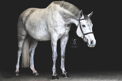 279231516_461797545743837_75136040941225338_n