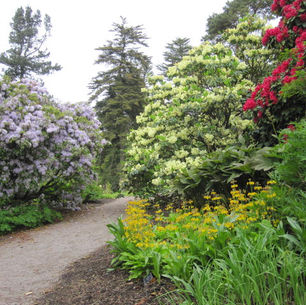 Glorious Gardens of Argyll
