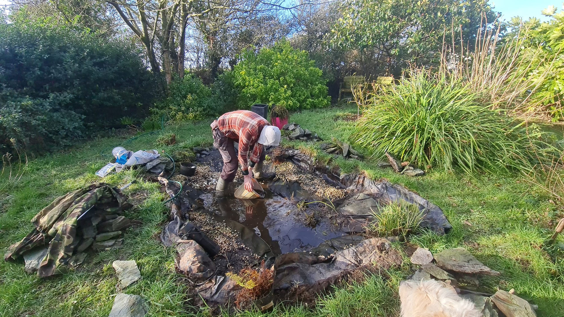 Pond Renovation.