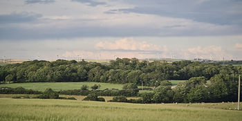 We're surrounded by beautiful views of the Anglesey countryside!