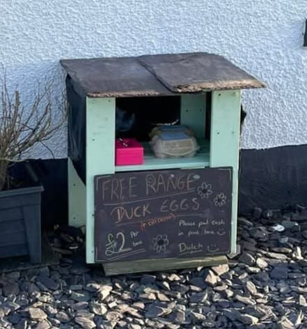 An Honest Project: The Honesty Stands of Ynys Môn - Part Two