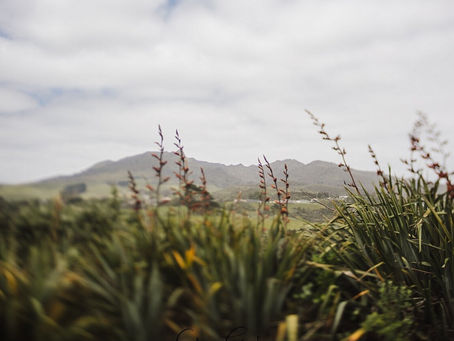 Raglan elopement retreat