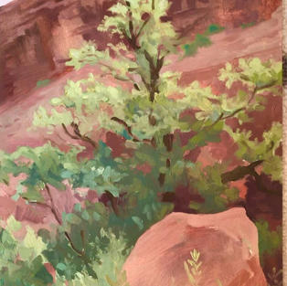 Overcast in Moab Canyon