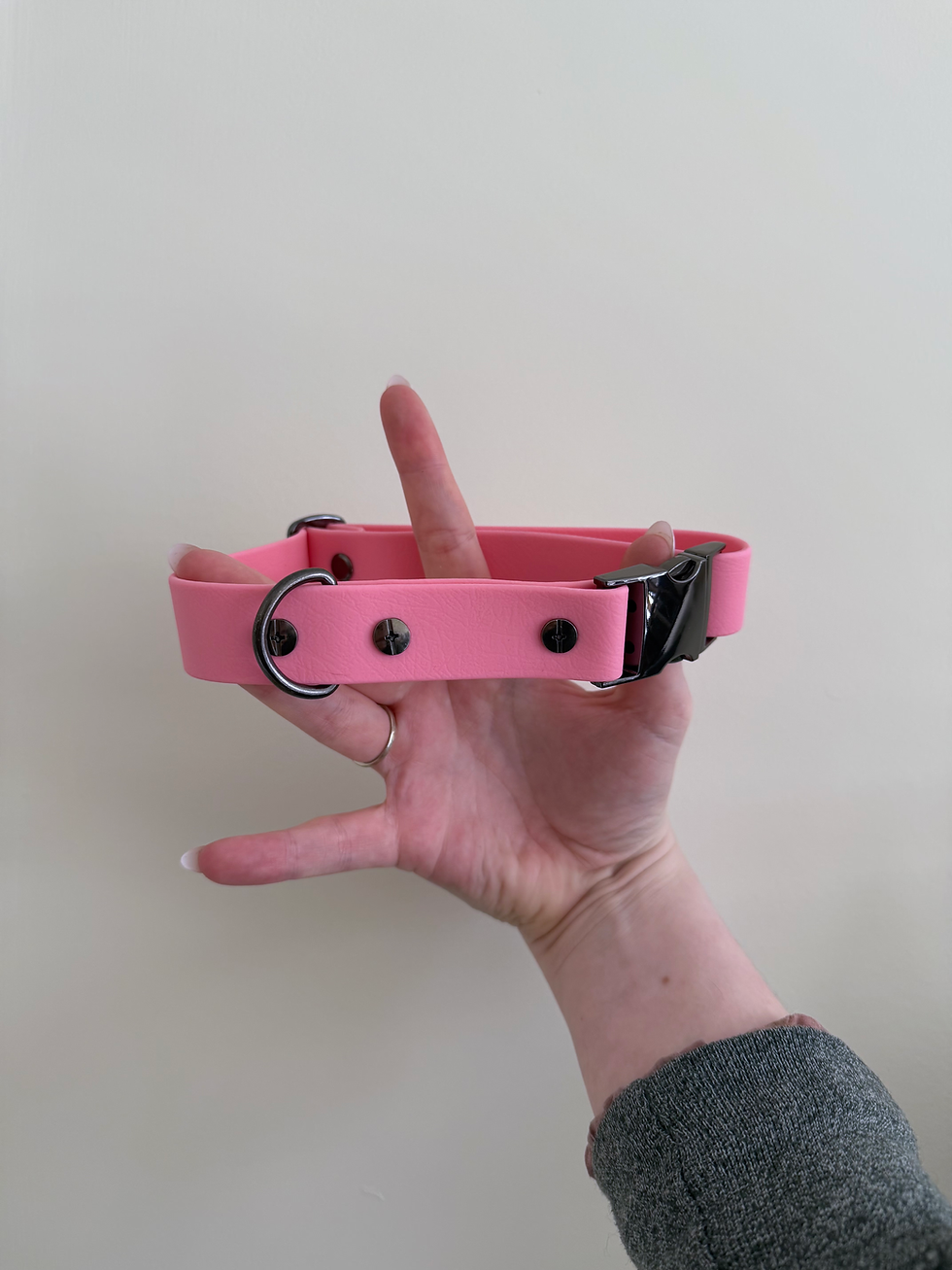 Thumbnail: Standard Biothane Collar