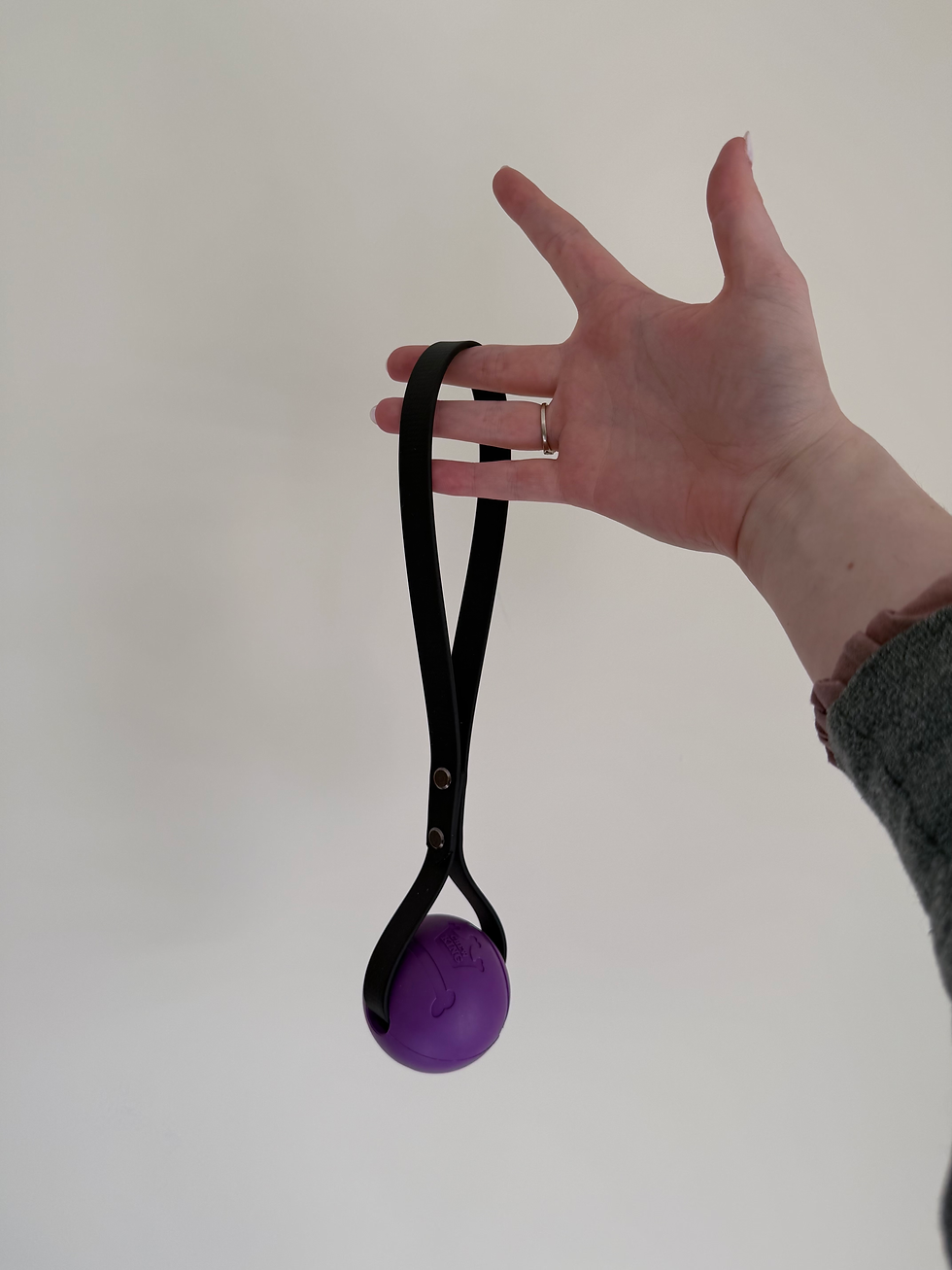 Thumbnail: Biothane Tug Toy
