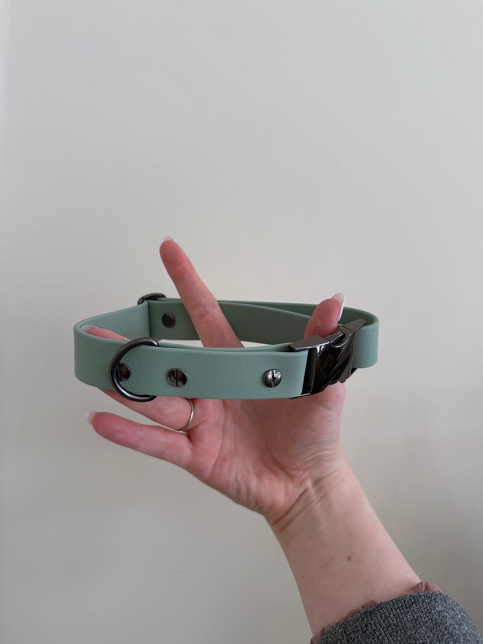 Thumbnail: Standard Biothane Collar