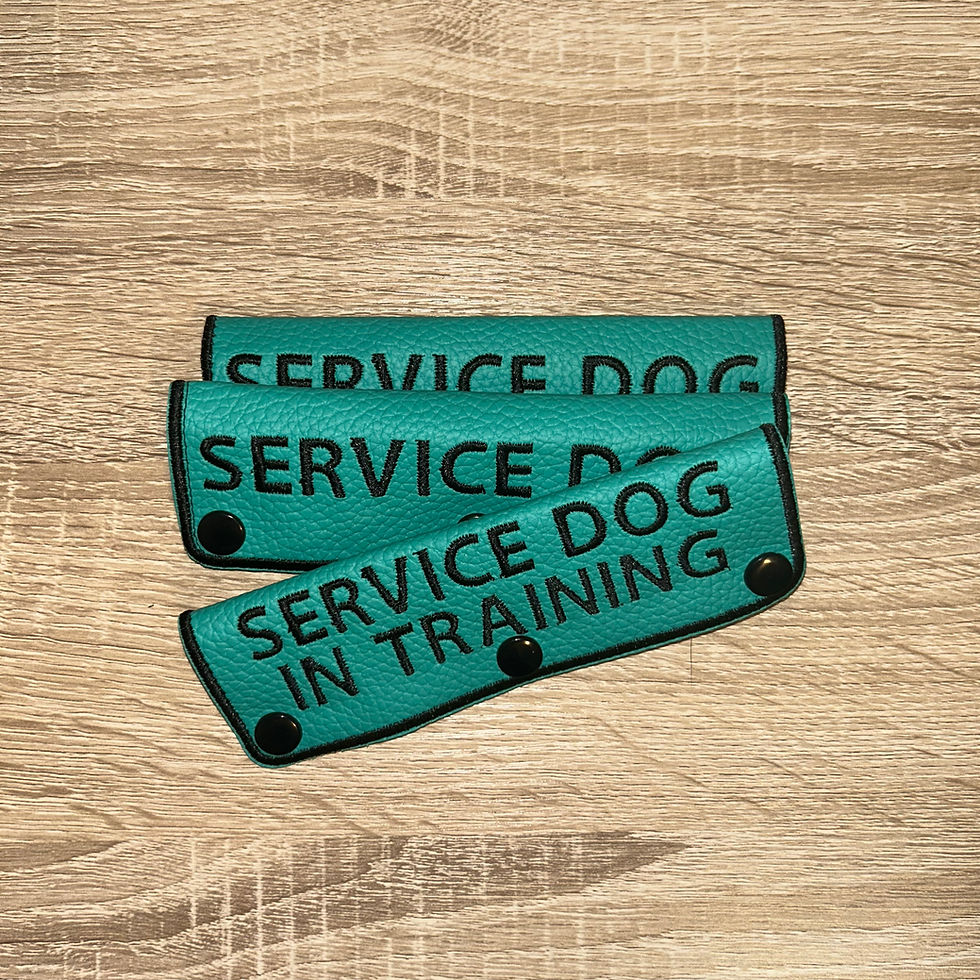 Thumbnail: Leash Wrap